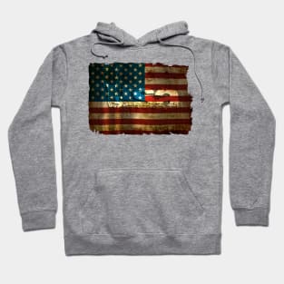 USA / Grunged Flag Hoodie